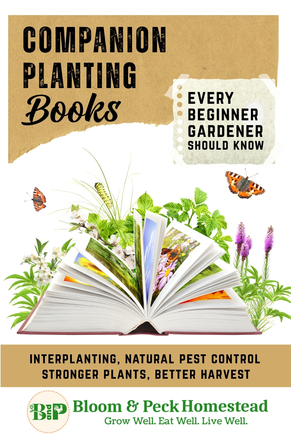 Companion Planting in Kentucky: My Favorite Books