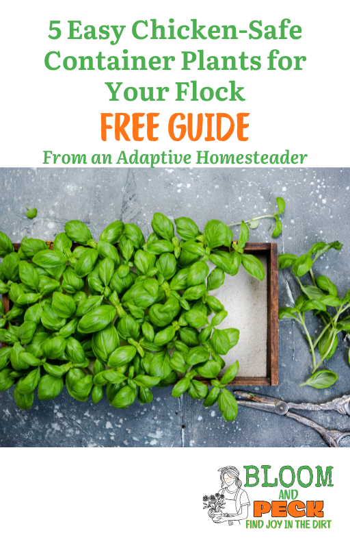free pdf for plants that are grown in containers and safe for chickens