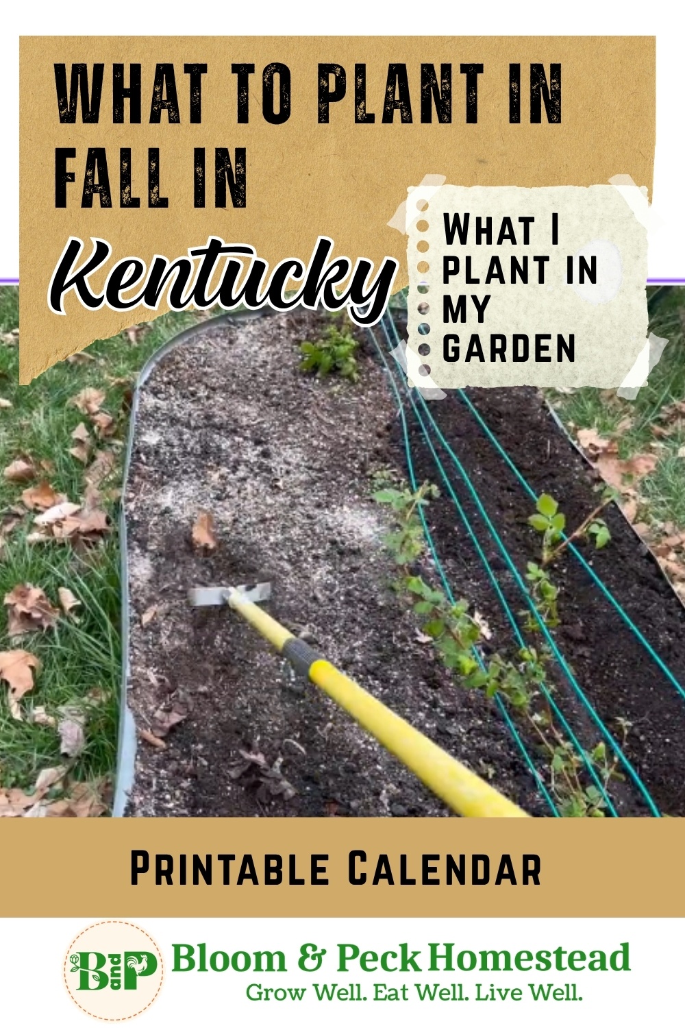 Kentucky Fall Garden Planting Schedule: 24 Veggies to Grow