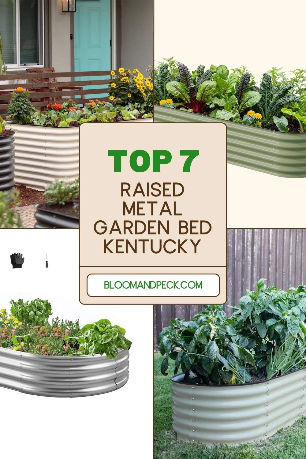 7 Best Metal Raised Garden Beds for Kentucky (Zone 7 Tested)