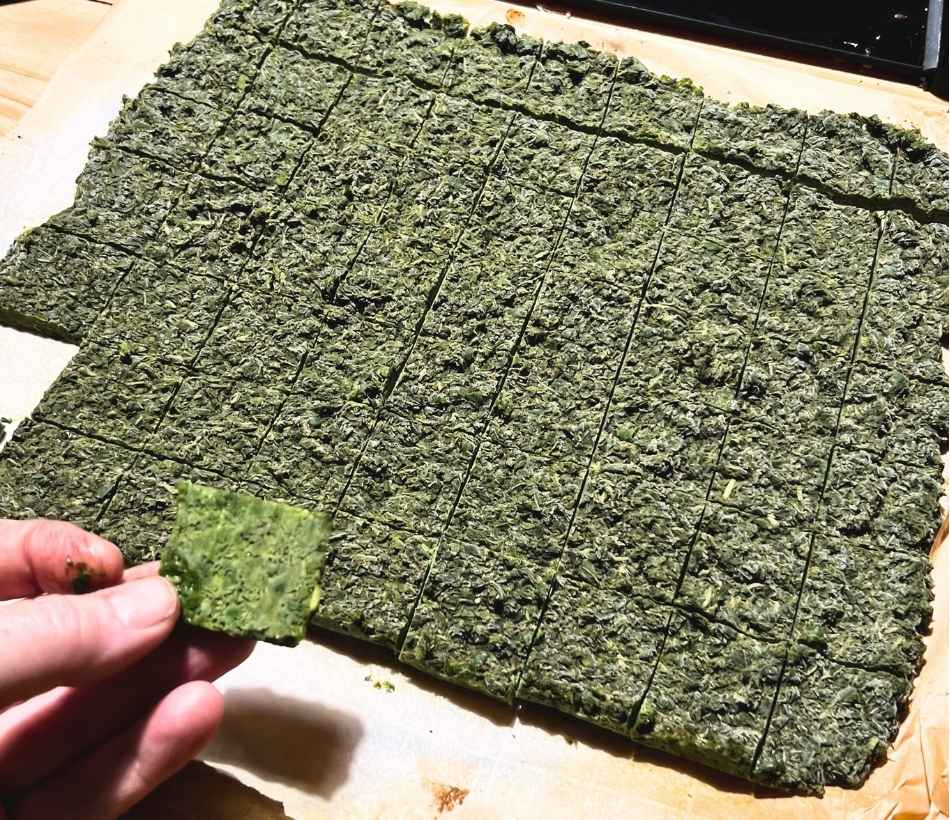 Frozen basil and olive oil spread on a sheet, turned dark and scored into small portions for freezing on Kentucky Homestead