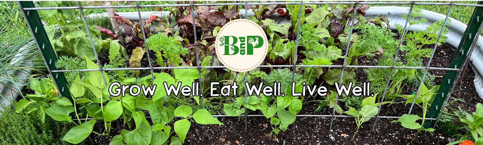 header for bloom and peck homestead in Kentucky features vegetables growing in raised bed